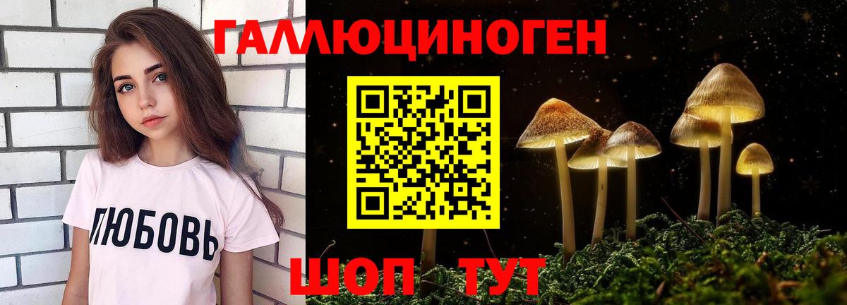 Псилоцибиновые грибы Cubensis  даркнет сайт  Нижнеудинск  Вход с VPN 